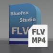 Bluefox FLV to MP4 Converter