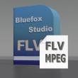 Bluefox FLV to MPEG Converter