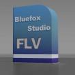 Bluefox FLV to X Converter