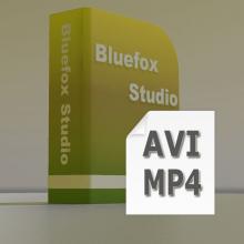 Bluefox AVI MP4 Converter Screenshot