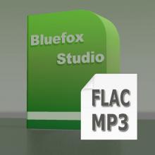 Bluefox FLAC MP3 Converter Screenshot