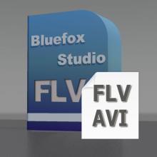 Bluefox FLV to AVI Converter Screenshot