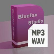 Bluefox MP3 WAV converter Screenshot