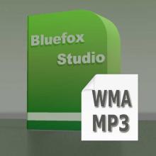 It can convert audio from WMA to MP3.